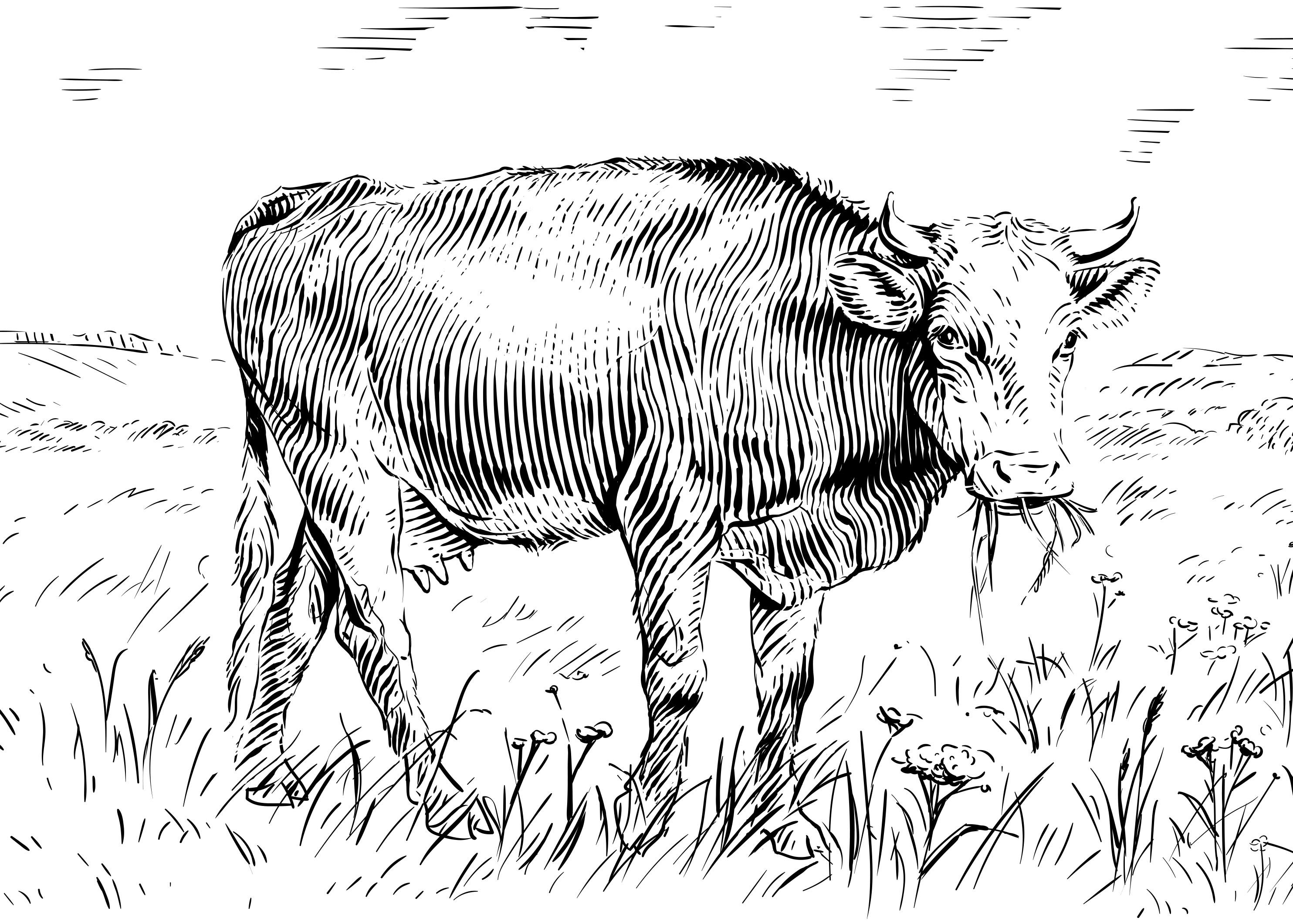 ON TOUR DALSTON JUNCTION